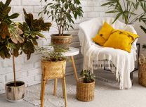 Huisdecoratie trends